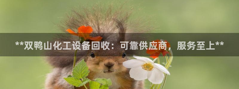 天辰平台网址是什么