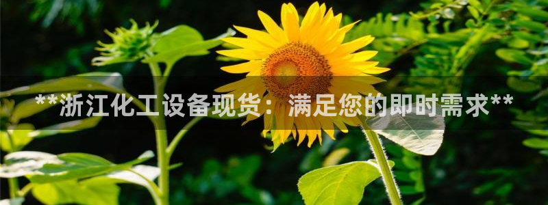 天辰正规注册通道安全