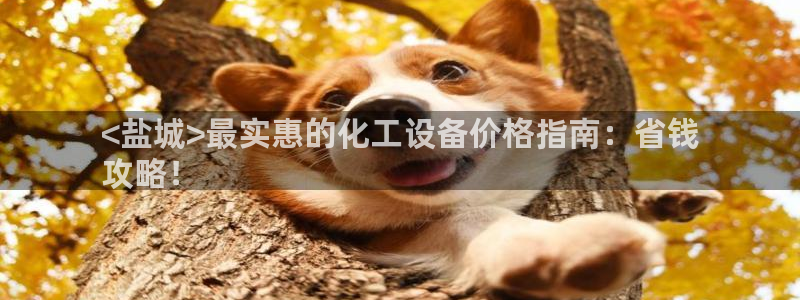 天辰平台 注册你的专属平台入口是什么