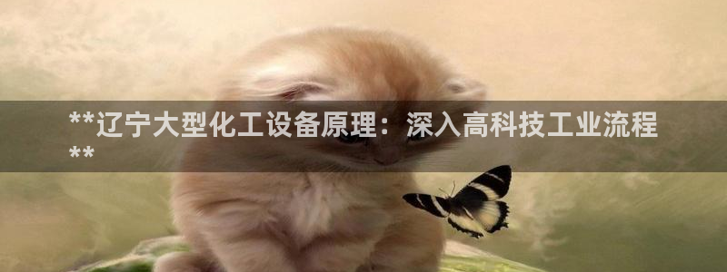 天辰测绘有限公司