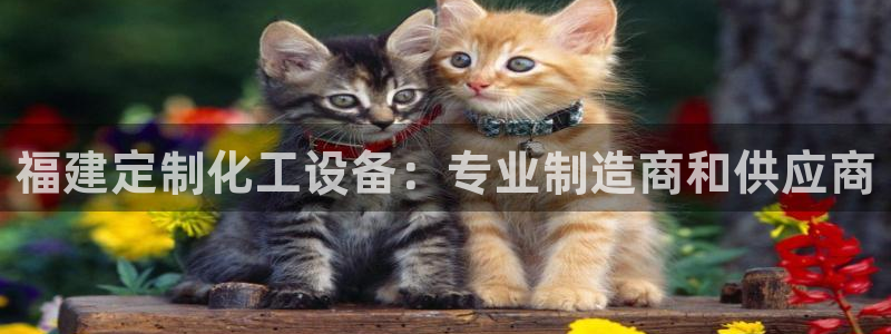 天辰平台招商1111怎么样啊