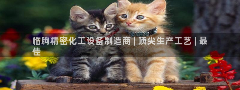 天辰平台西 5o69I7