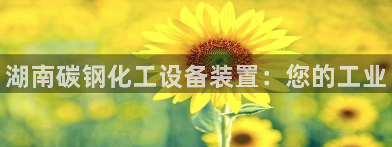天辰平台网址是什么：湖南碳钢化工设备装置：您的工业