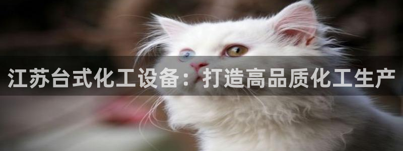 天辰娱乐平台用户评价与反馈：江苏台式化工设备：打造