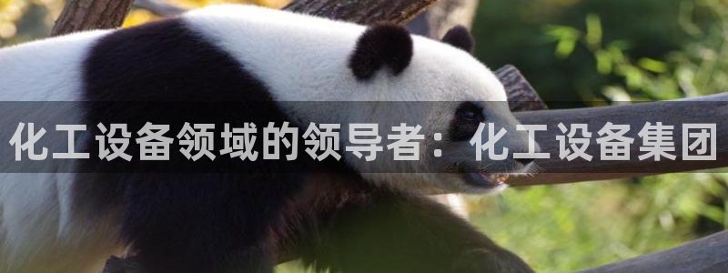 天辰平台测速登录失败怎么回事