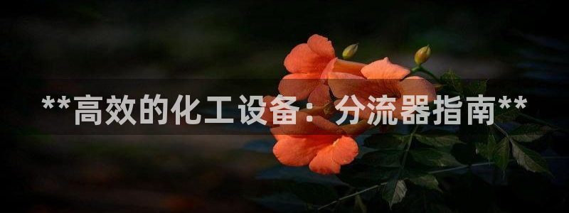 天辰平台连接：**高效的化工设备：分流器指南**