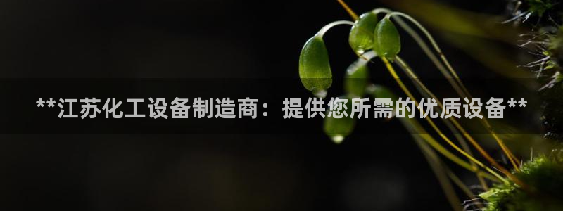 天辰平台易 411o31 天辰