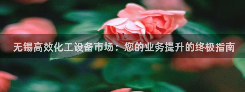 天辰平台测速登录不上去