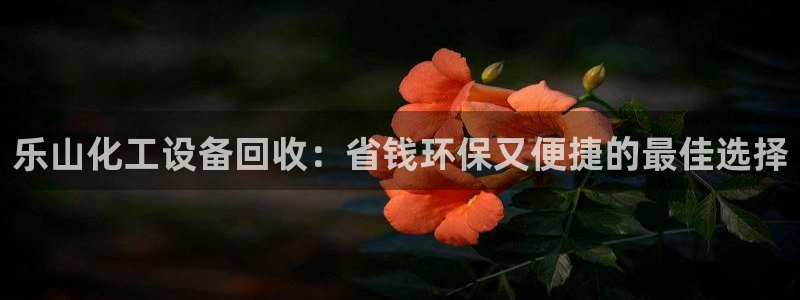 天辰平台飞 41IO31 平台