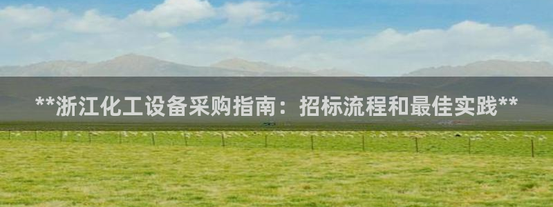 天辰商盟创业平台：**浙江化工设备采购指南：招标流