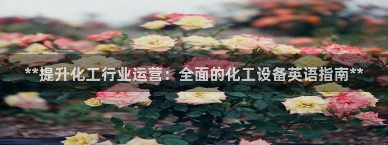 天辰网怎么样