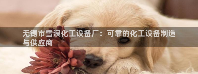 天辰平台价 411O31 平台