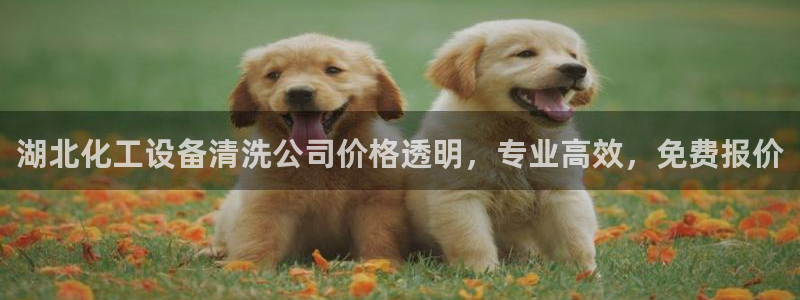 天辰娱乐百度百科大全