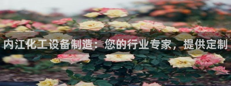 天辰平台招商111：内江化工设备制造：您的行业专家