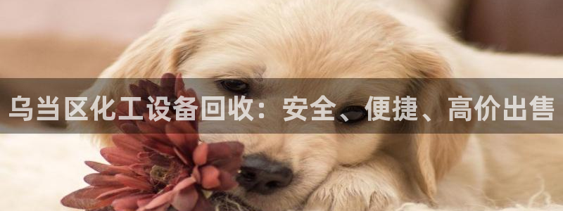 天辰平台你的专属平台是什么：乌当区化工设备回收：安