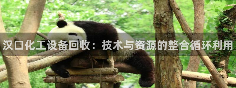 天辰平台荐 5O6917 天辰