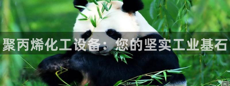 天辰平台招商111：聚丙烯化工设备：您的坚实工业基石