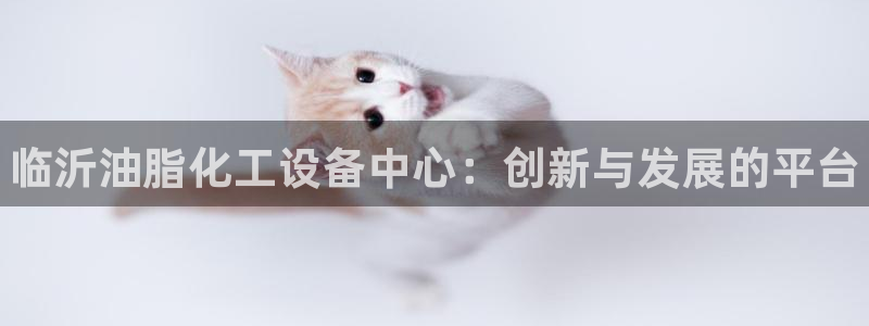 天辰平台注册地址怎么改不了：临沂油脂化工设备中心：创新与发展