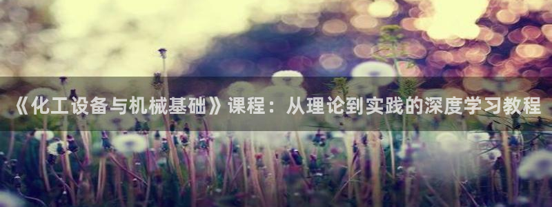 天辰平台注册地址怎么改：《化工设备与机械基础》课程