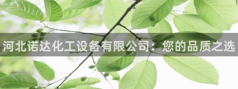 天辰平台招商1111怎么样：河北诺达化工设备有限公